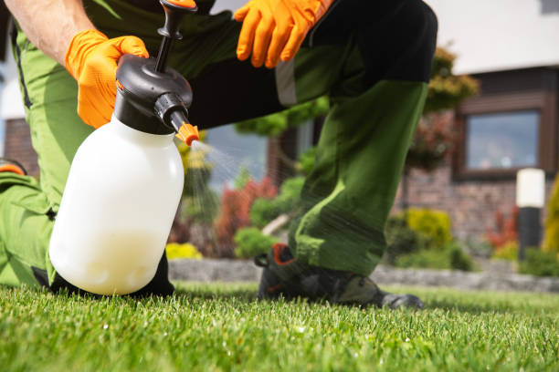 Best Best Pest Control Companies  in Benton, KY
